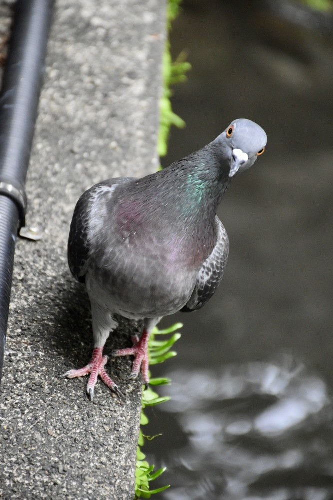 Photograph by Htet Ei Wai