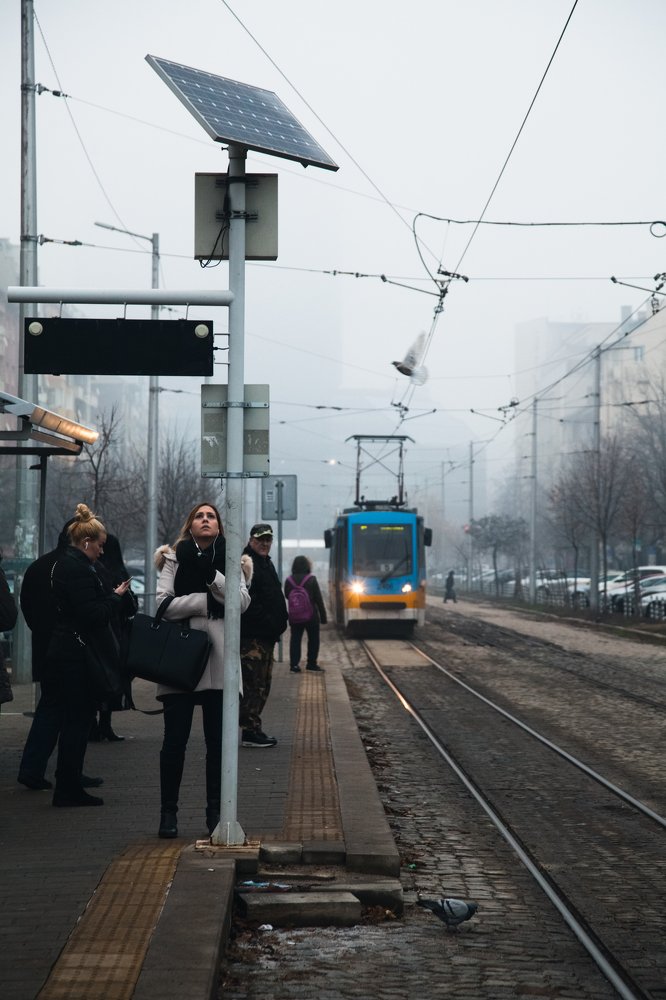 Фотография автора Ivelina Petkova