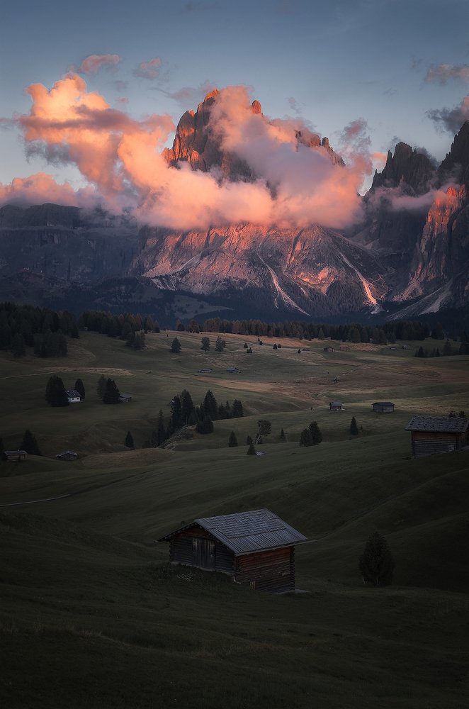 Photograph by Alex Barcella