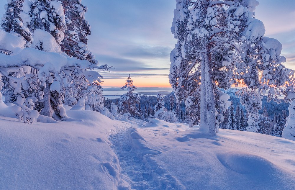 Photograph by Владимир Липецких