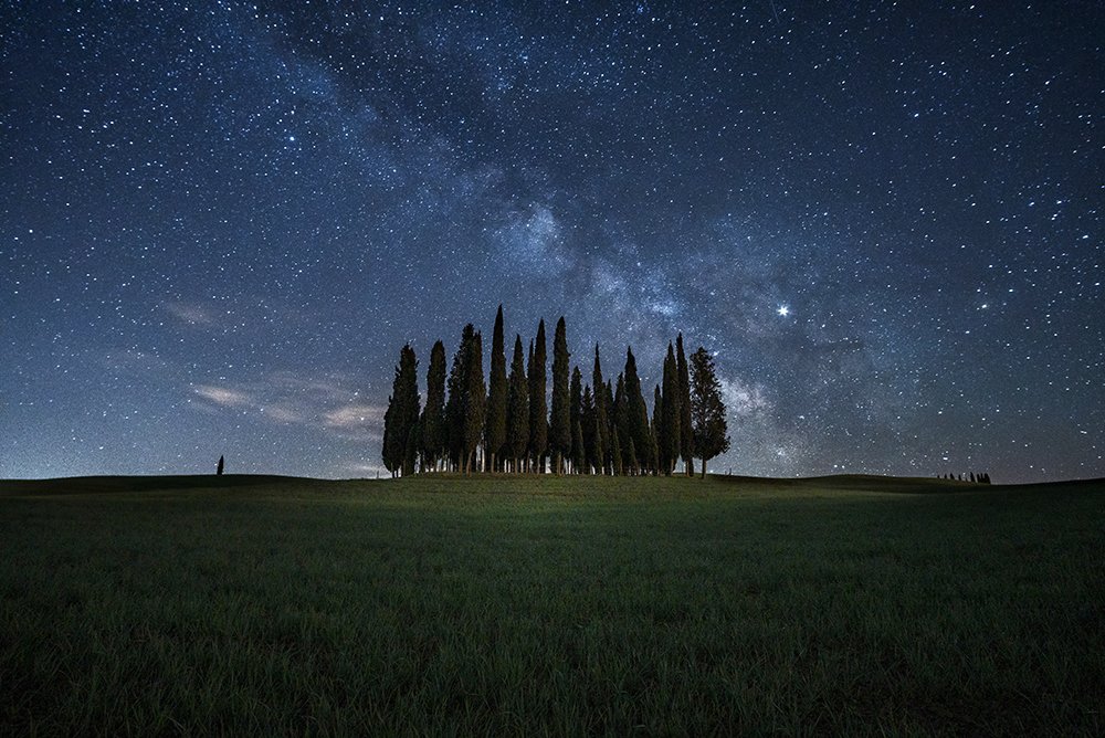 Cypress under the stars