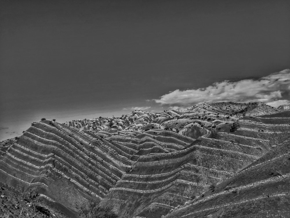 Photograph by Yahya Kakapour