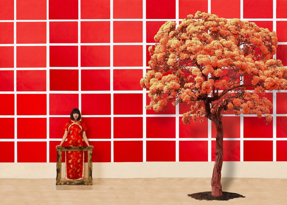 Photograph by Hamed R.Khosroshahi