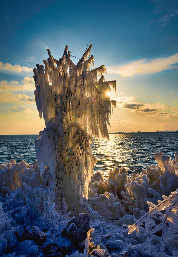 Photograph by Koel Das