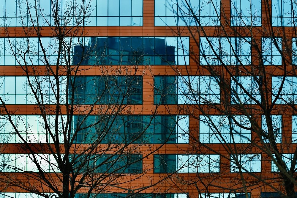 Photograph by Алия Айткалиева