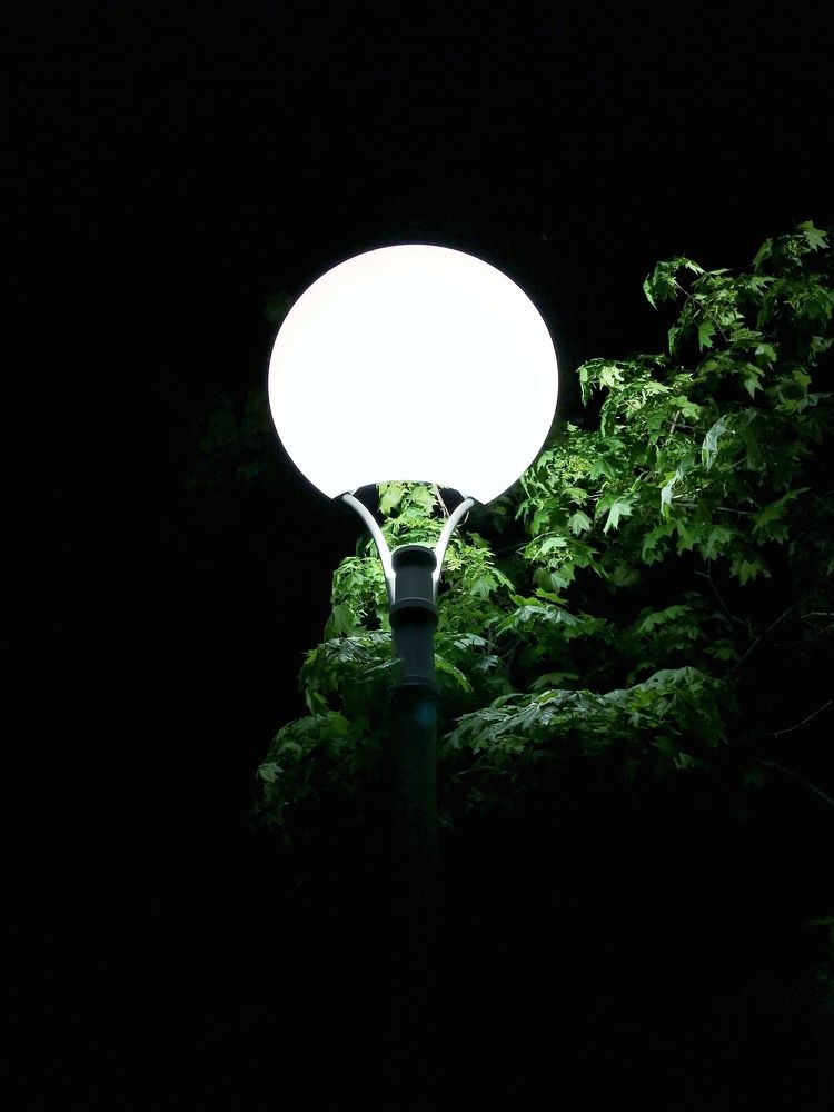 Фотография автора Яна