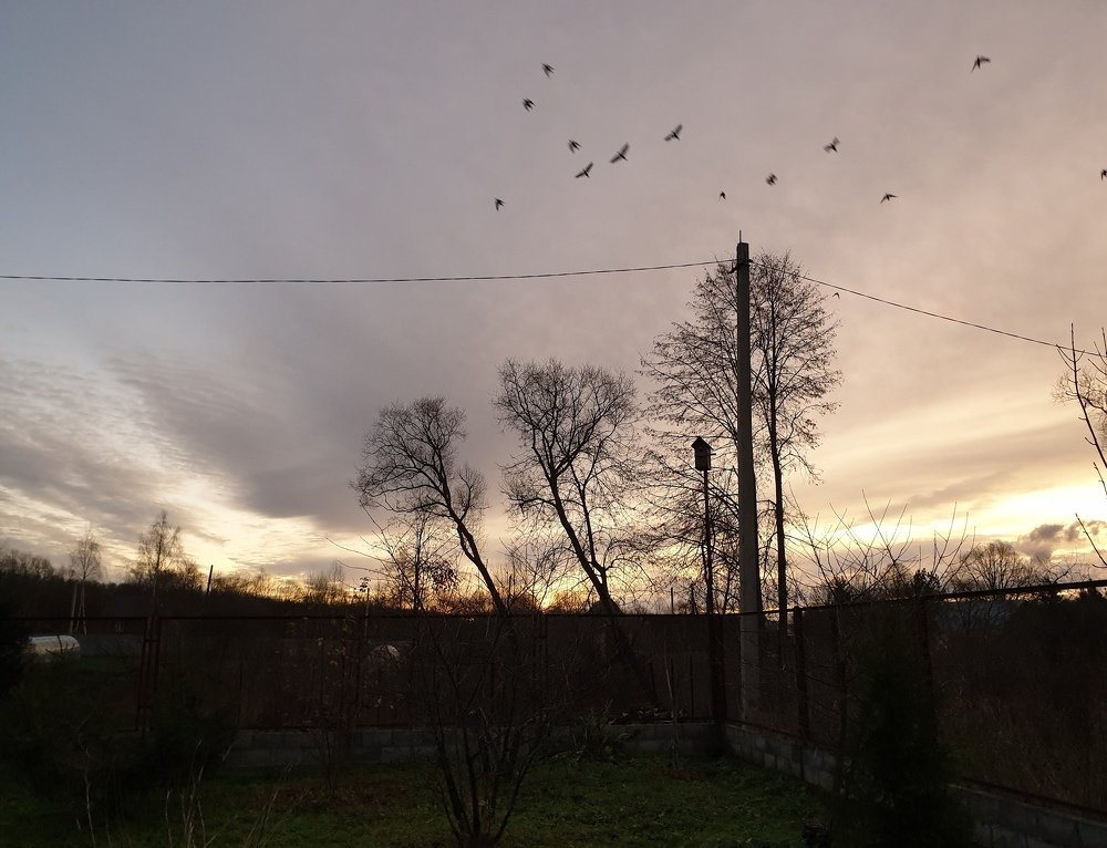 Photograph by Mariya Kuznetsova