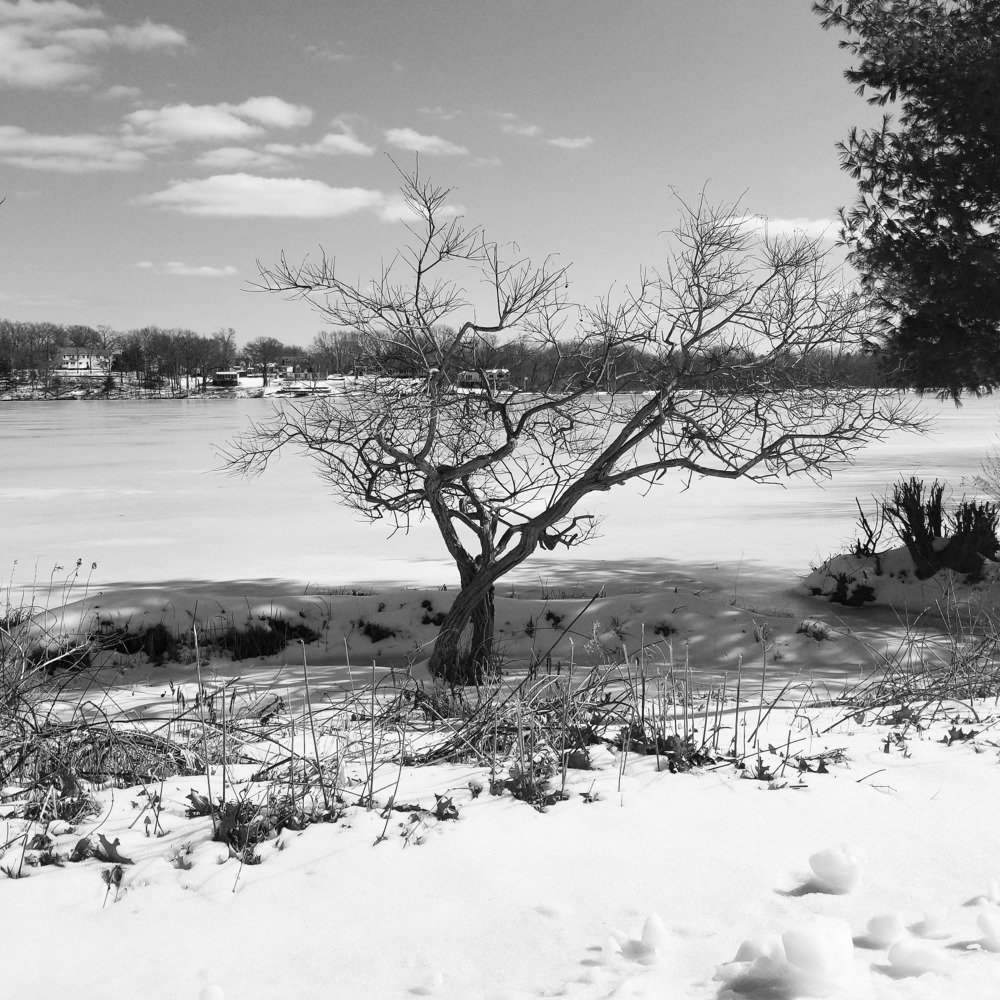 Photograph by Marcos Morais