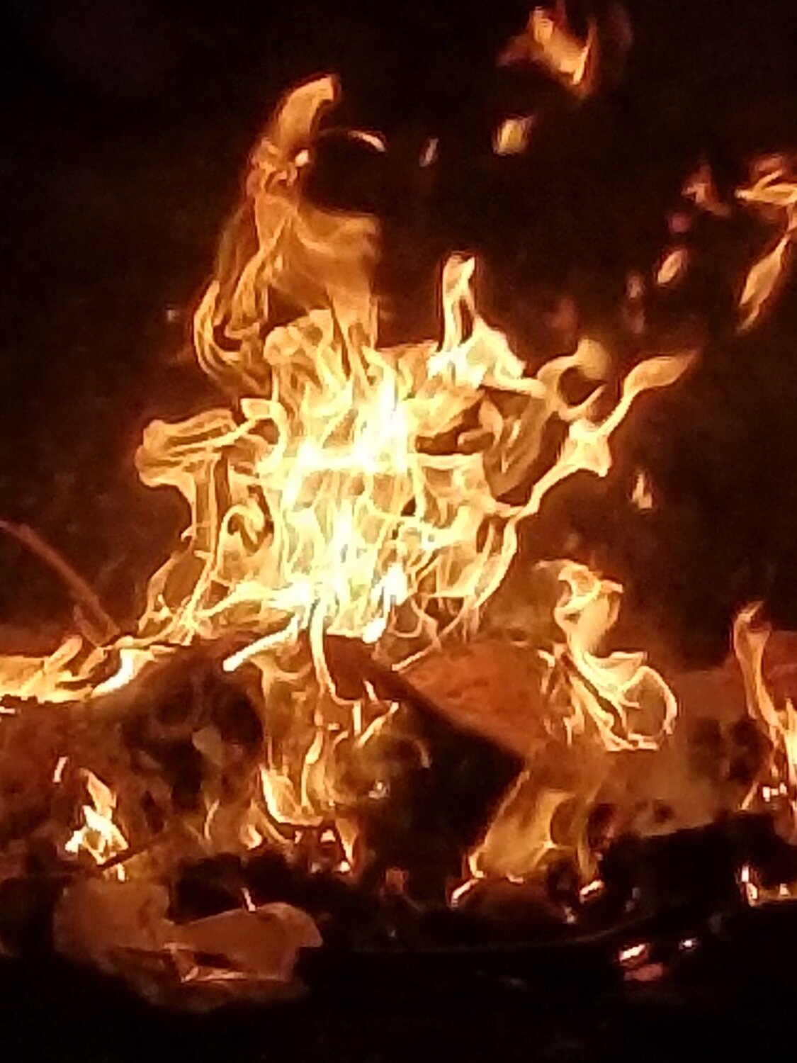 Photo #4337443