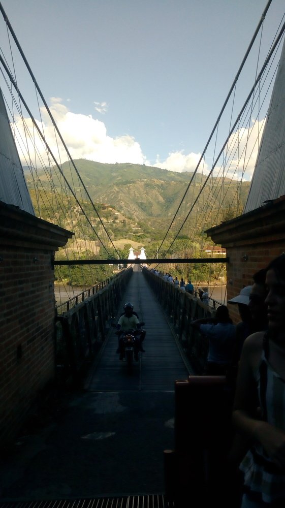 Photo #4337457