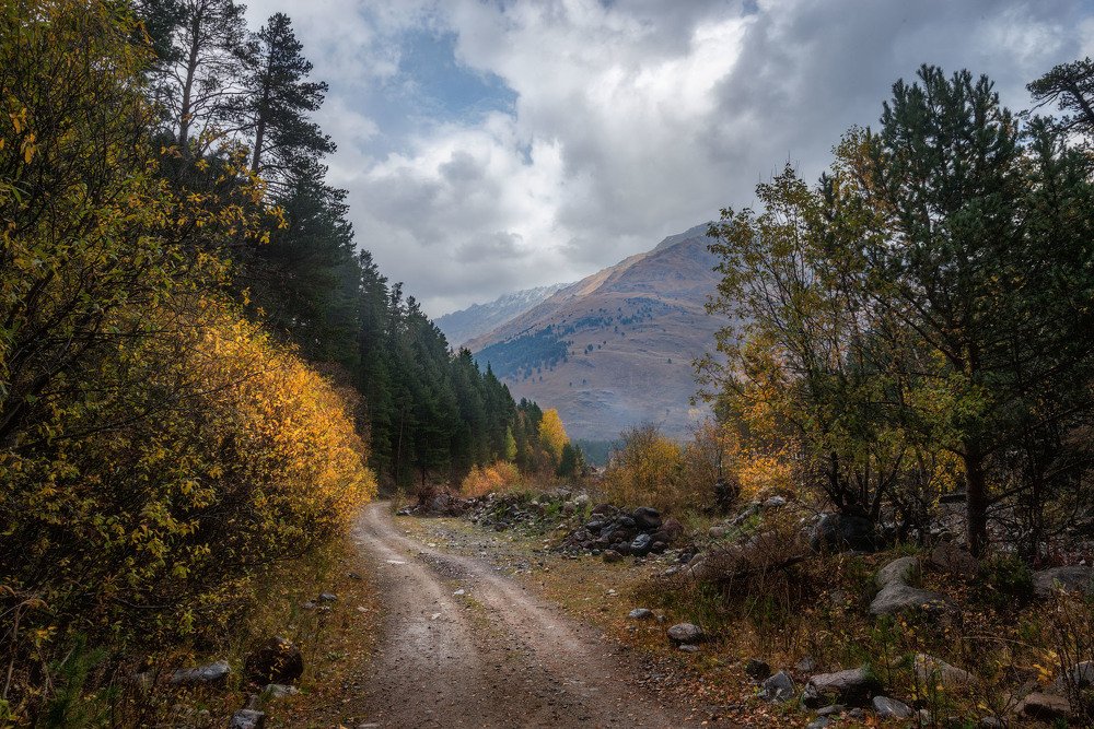 Фотография автора Шевченко Юрий
