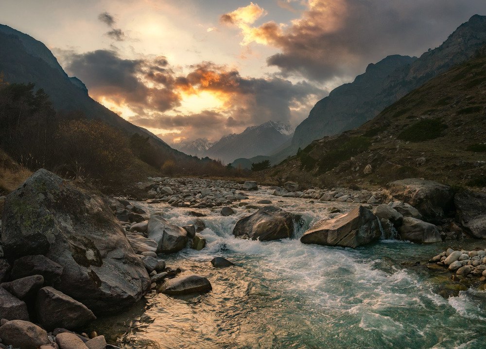 Фотография автора Шевченко Юрий