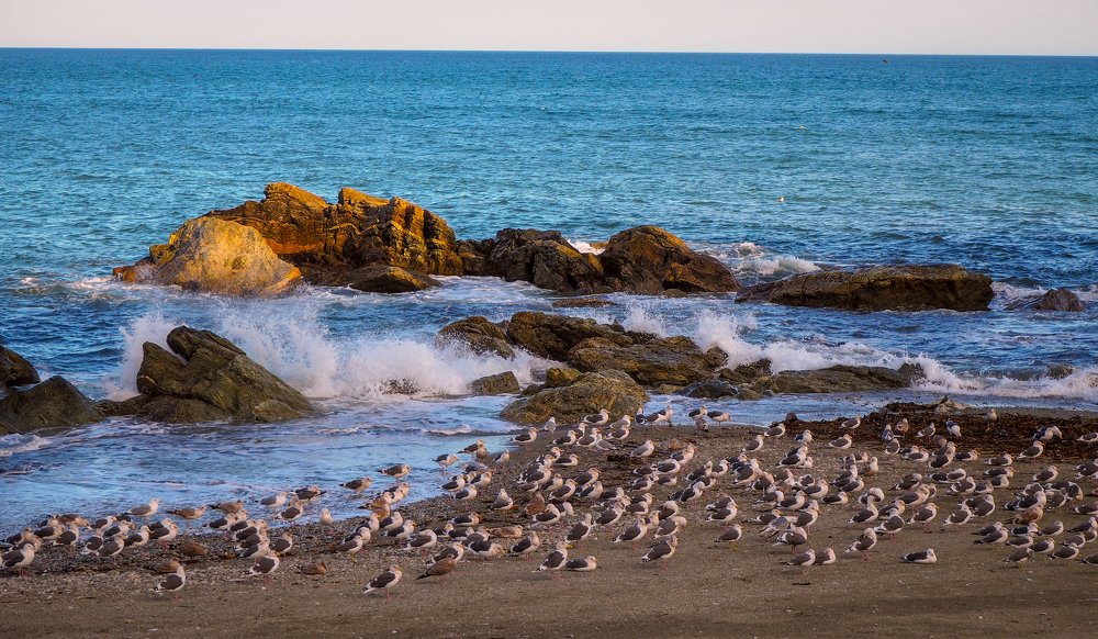 Фотография автора Olena Vorotyntseva