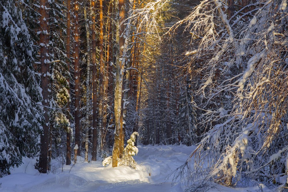 Photograph by Дмитрий Алексеев