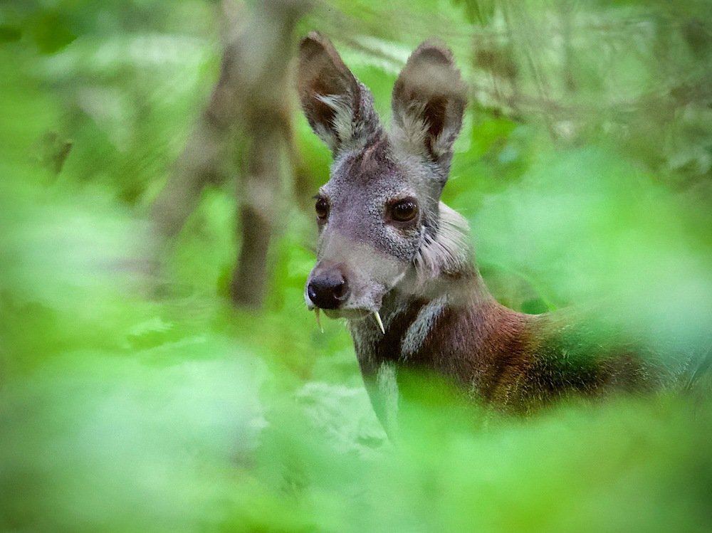 Photograph by Мазурин Евгений