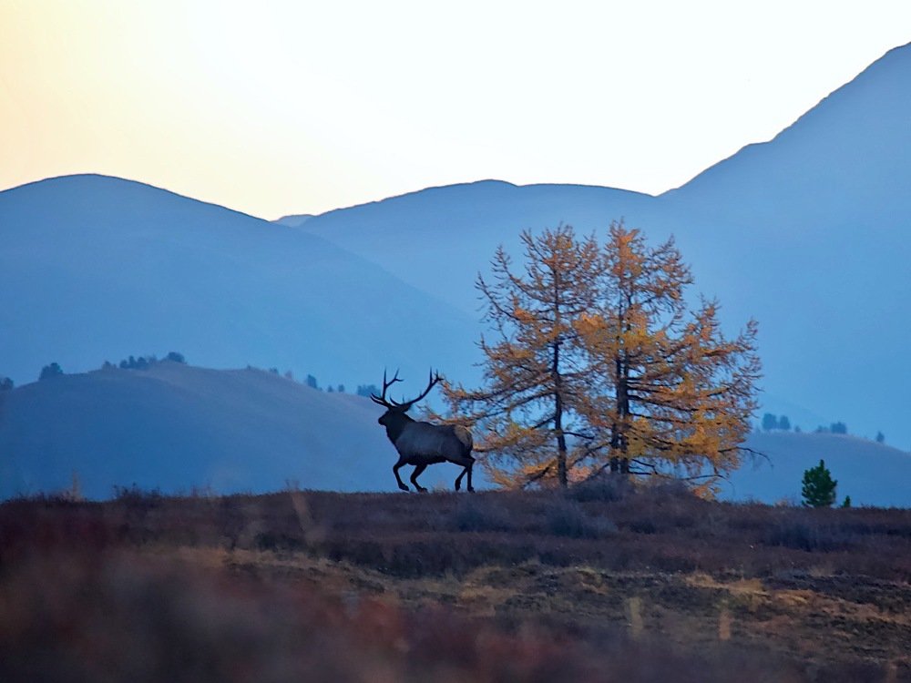 рассветный пейзаж