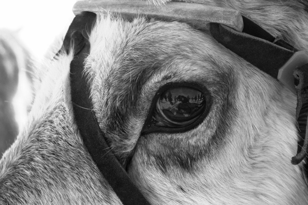 Photograph by Мария Шрейдер