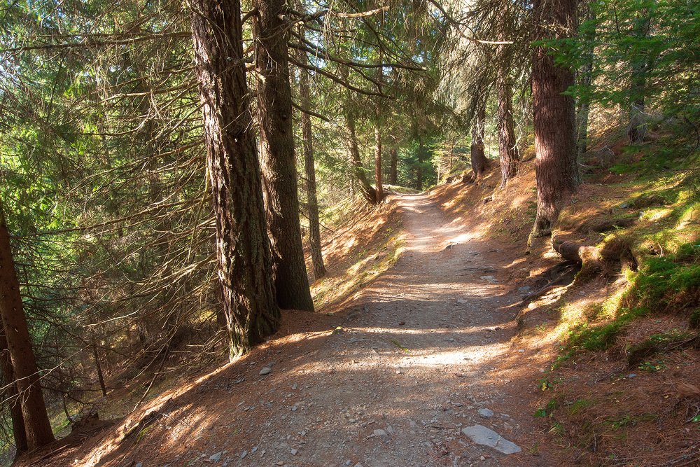 Фотография автора Сергей Сынтин