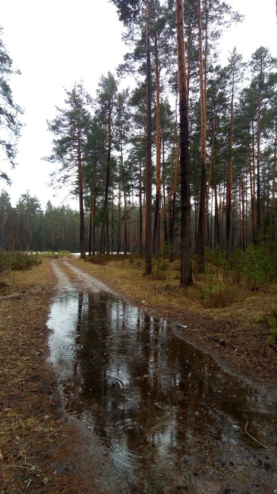 Photo #4337753