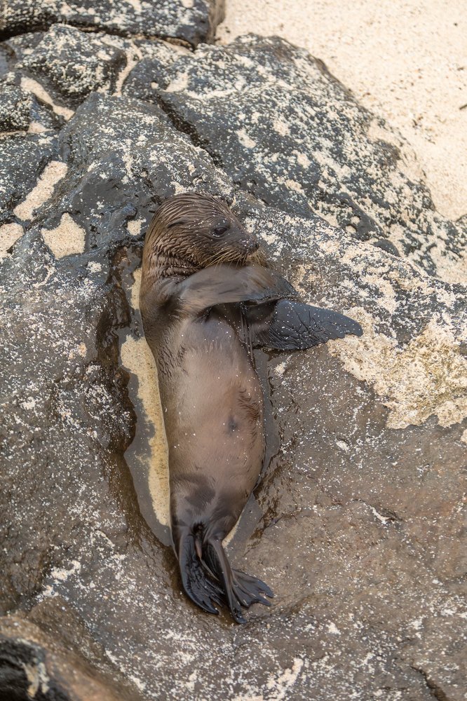 Photograph by Власов Егор