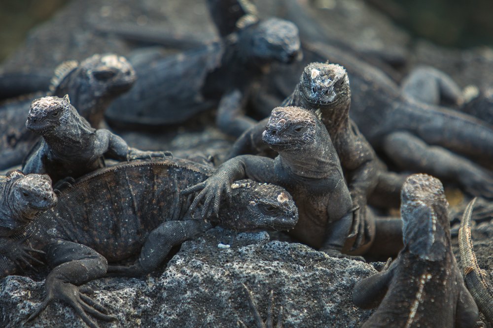 Photograph by Власов Егор