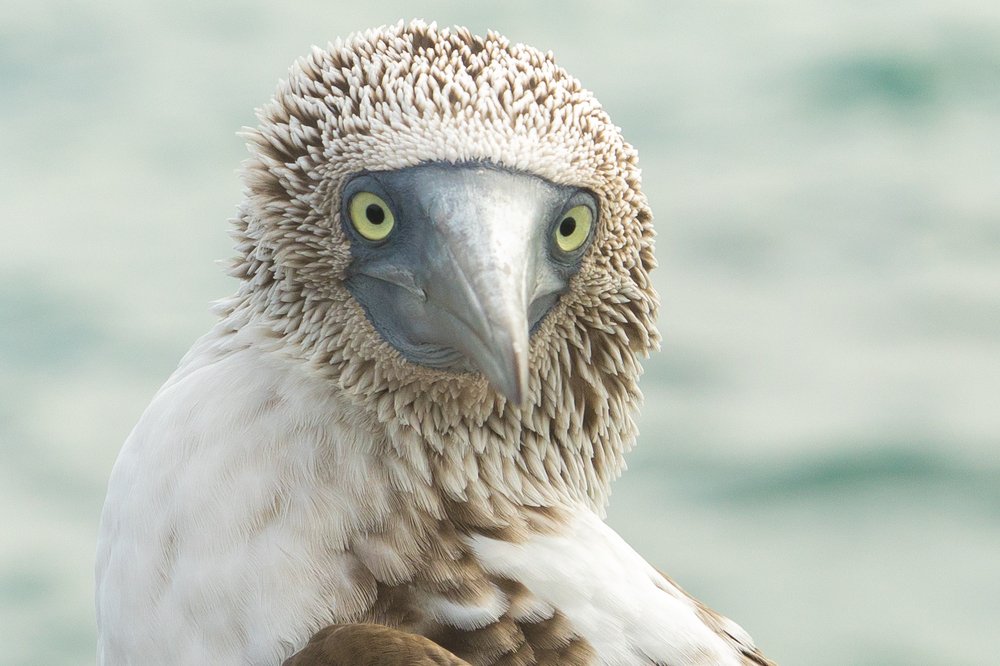 Photograph by Власов Егор