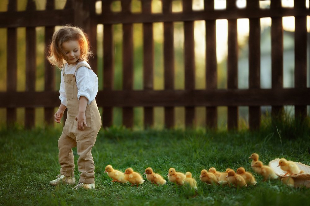 Photograph by Юлия Соболева