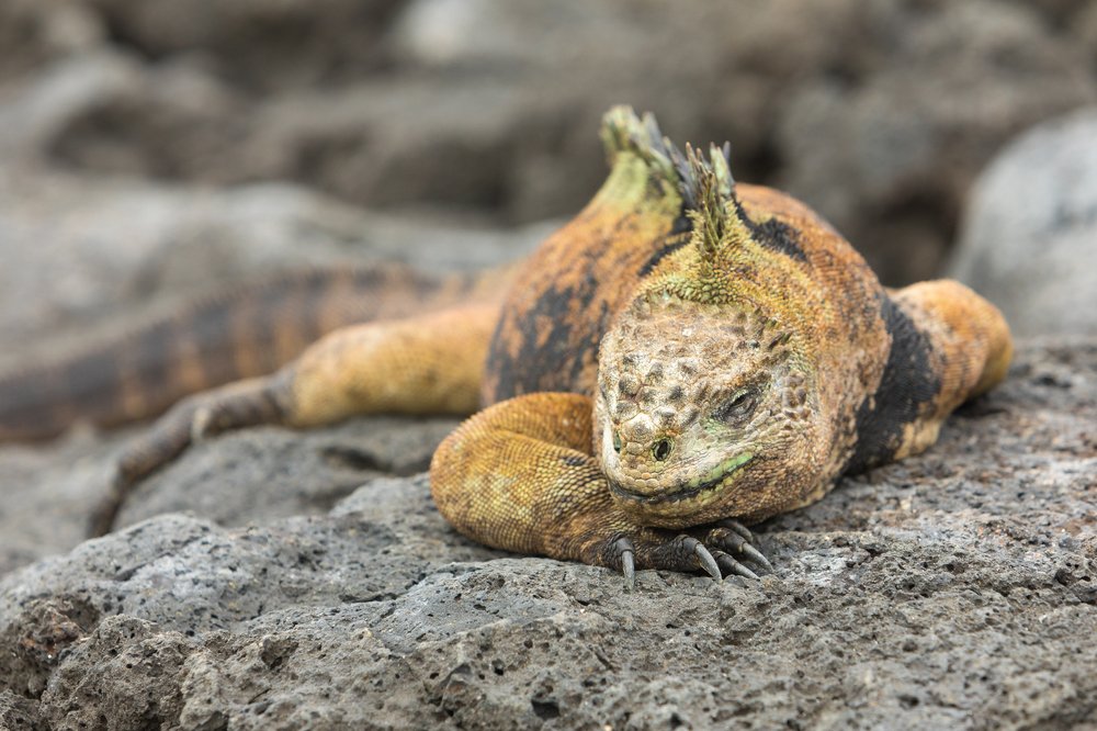 Photograph by Власов Егор