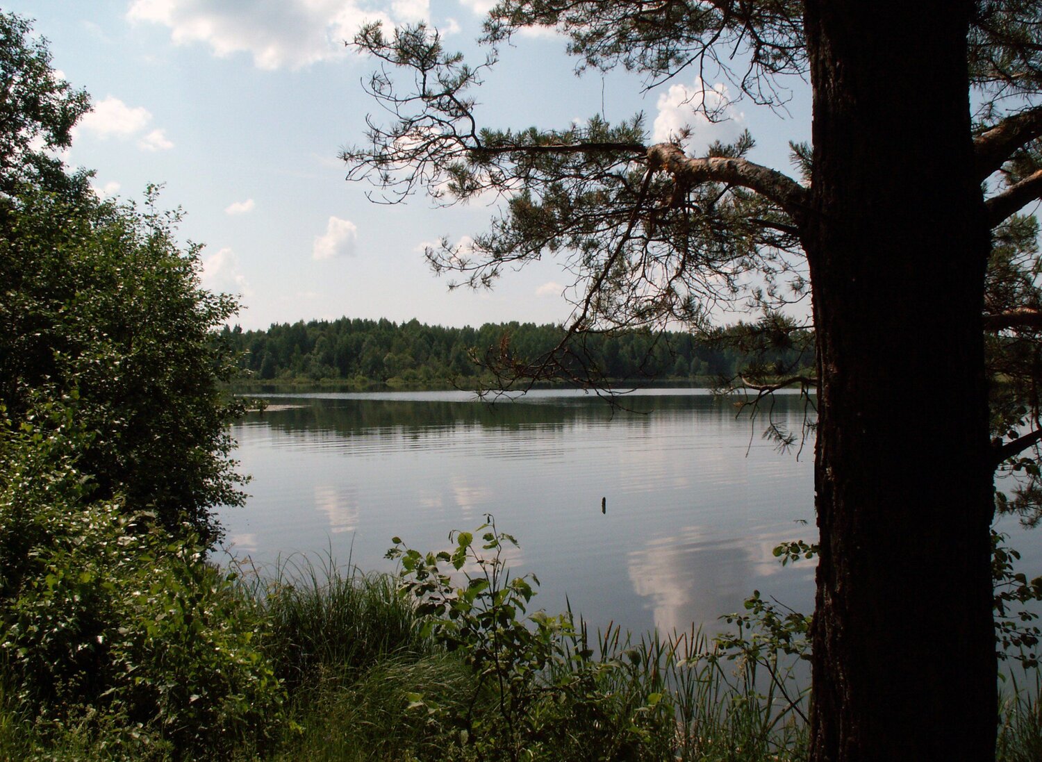 Photo #4337803