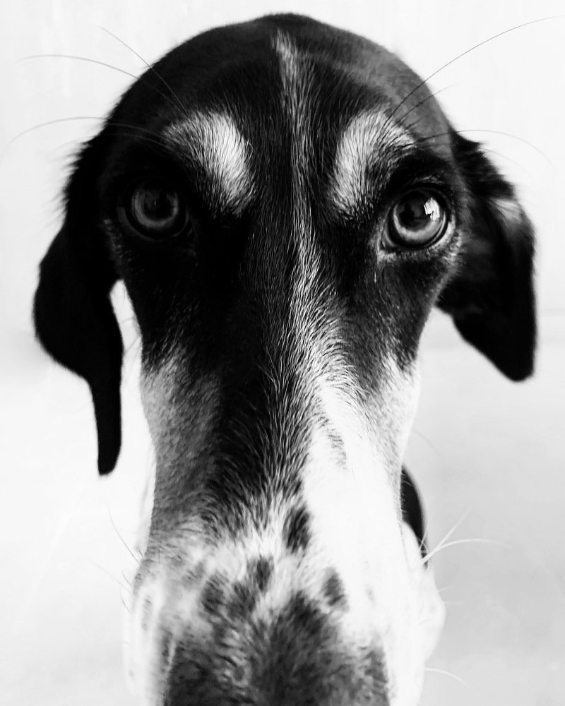 Photograph by Olga Fedorova