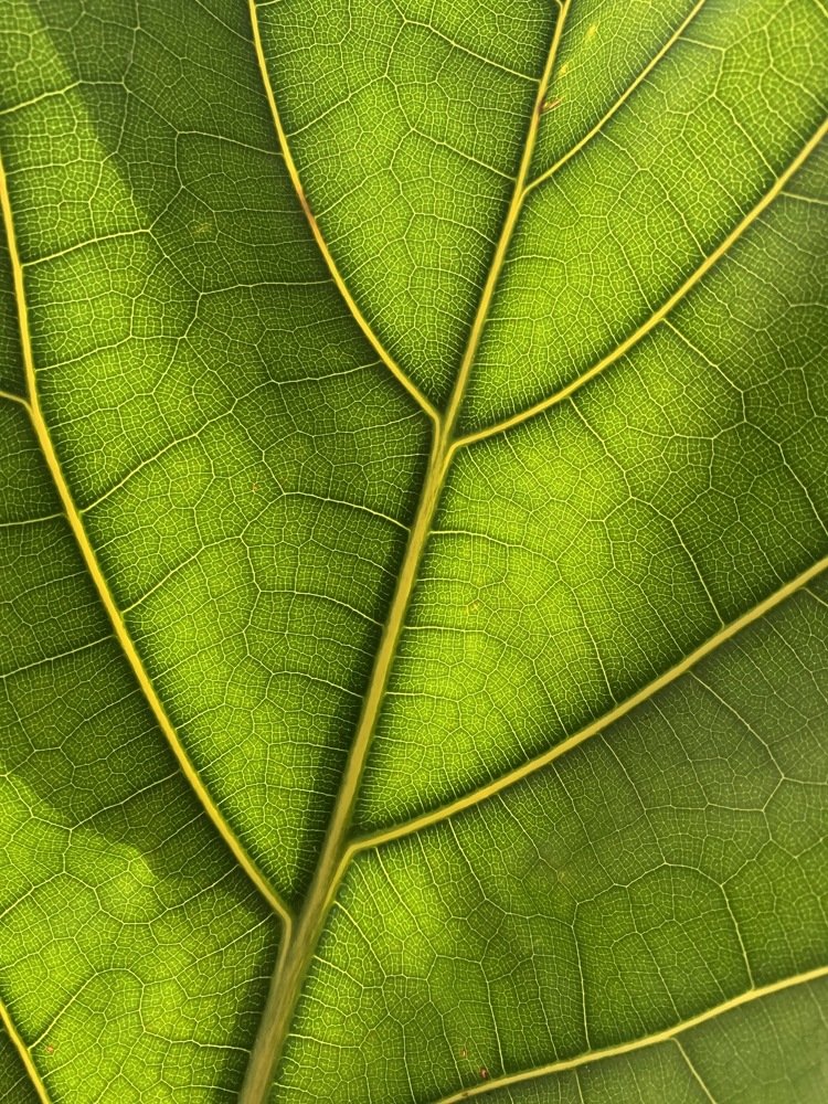 Photograph by Olga Fedorova