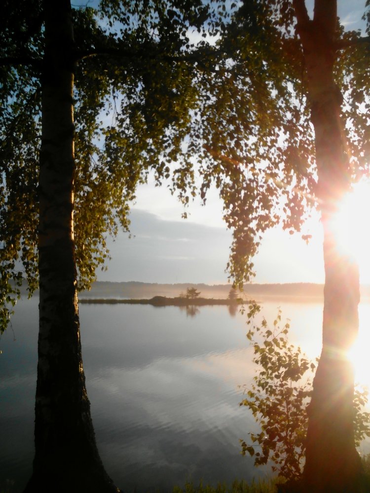 Photograph by Анастасия