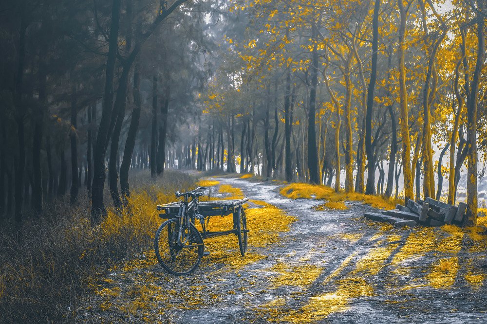 Photograph by khan avi