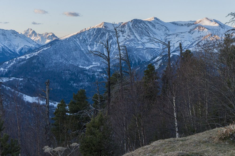 Photograph by Мария Аладьина