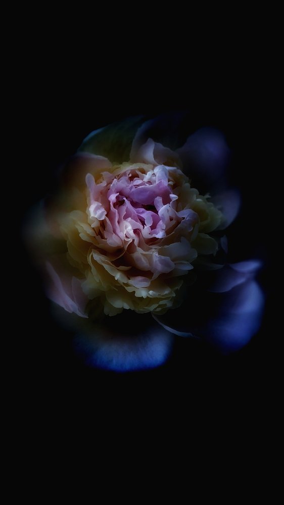 " Погружение "