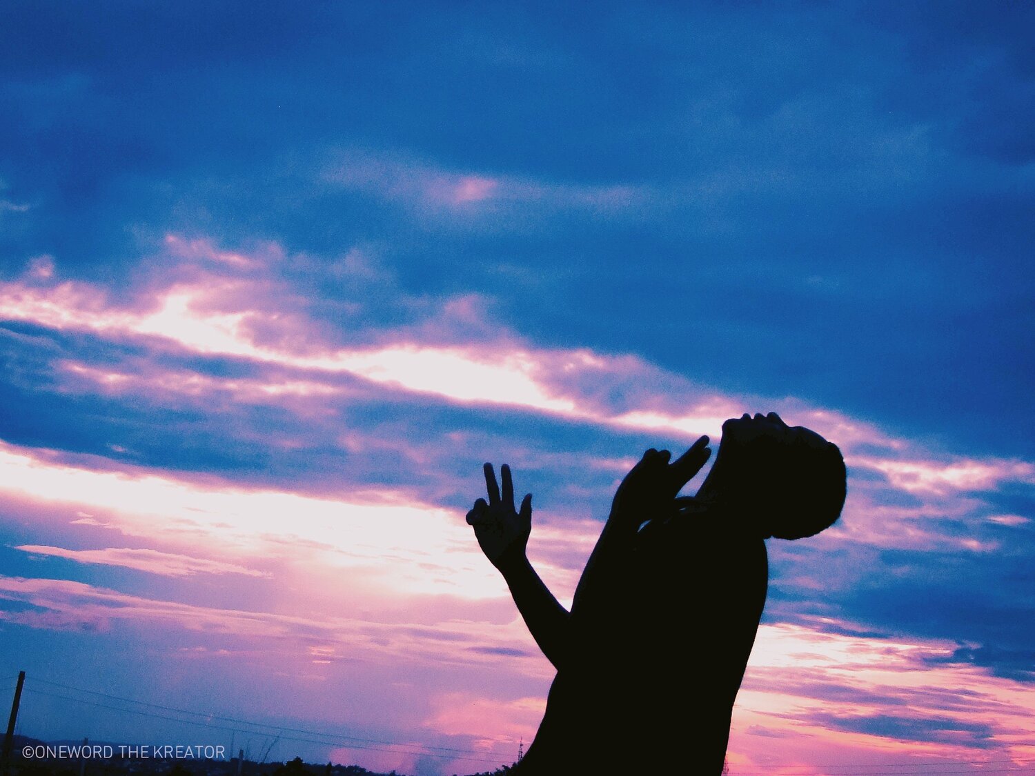 Photo #4337958