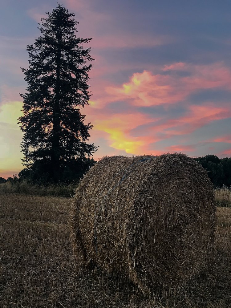 Photograph by Александр Цабель