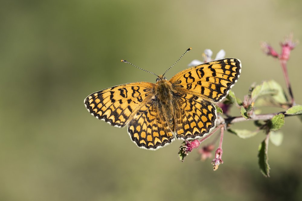 Photograph by Ömür Yaşar