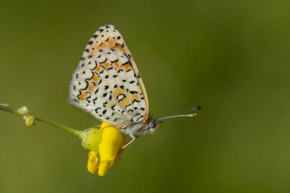 Photograph by Ömür Yaşar