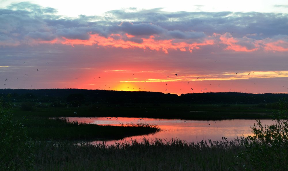 Photograph by Ольга Лещук