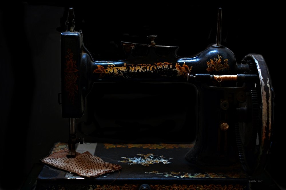 Photograph by Celina CelyTessy