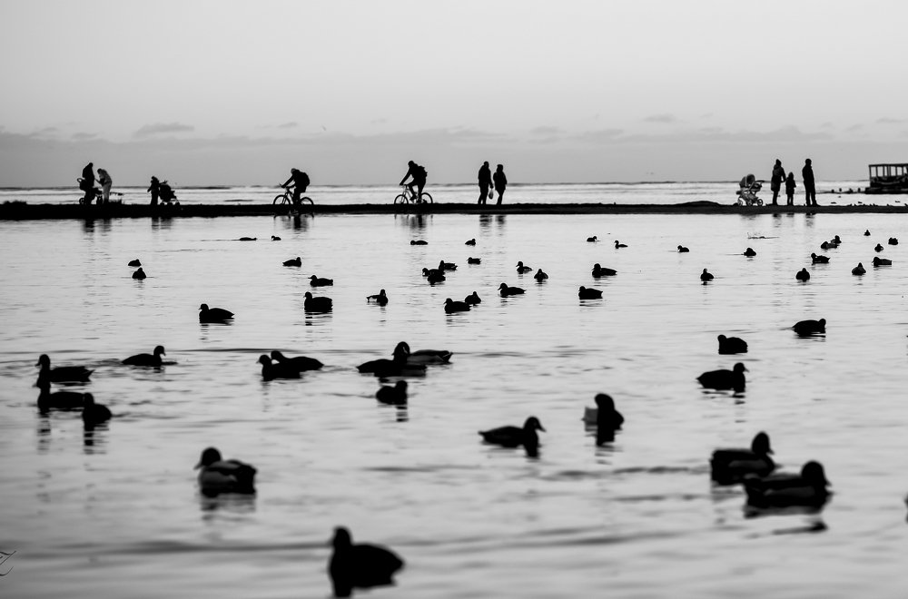 Фотография автора Татьяна Златоверховникова