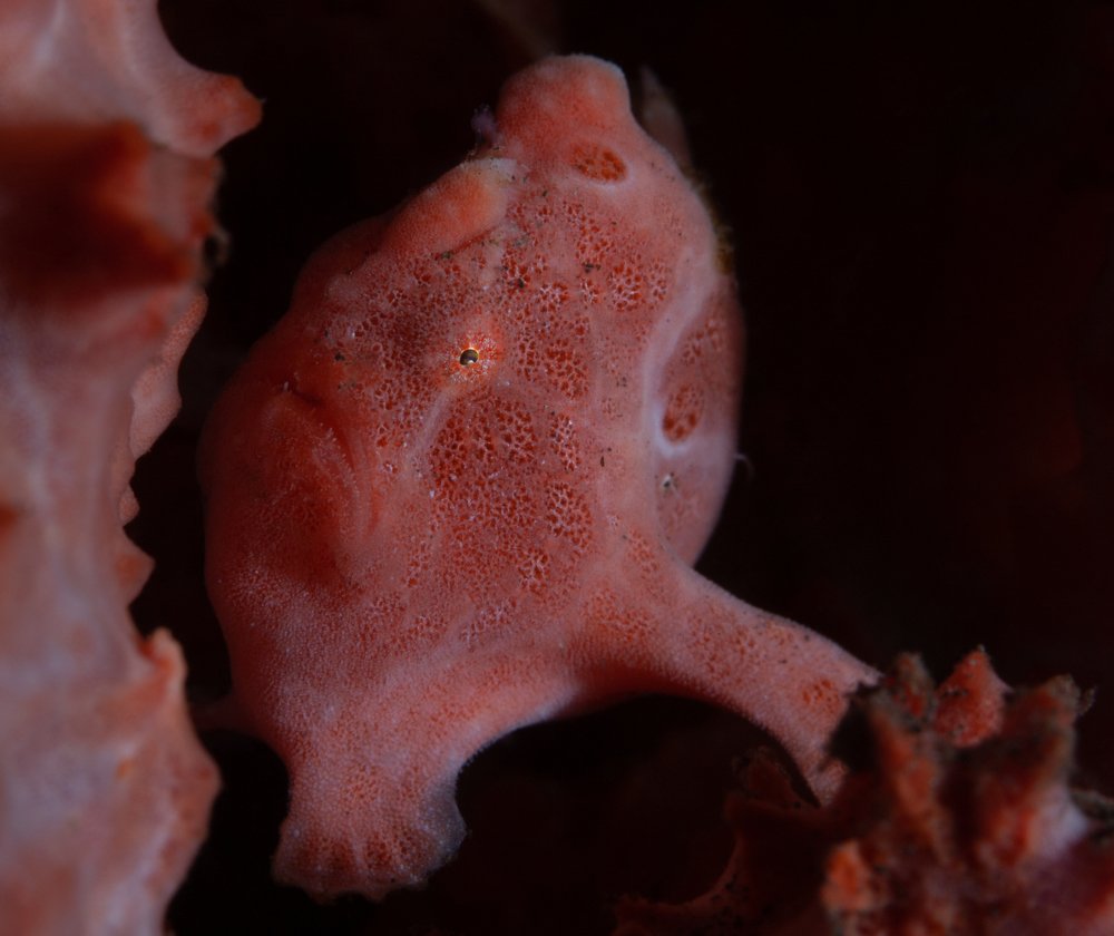 Photograph by Илья Козырев