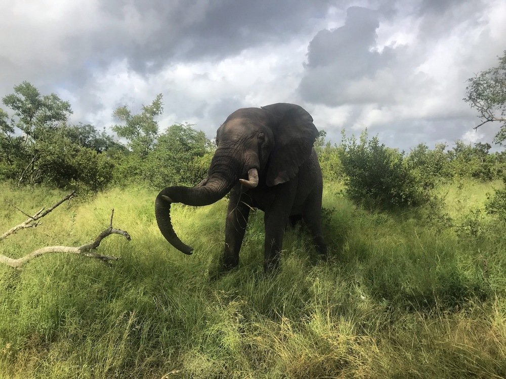 Photograph by Alan Glass