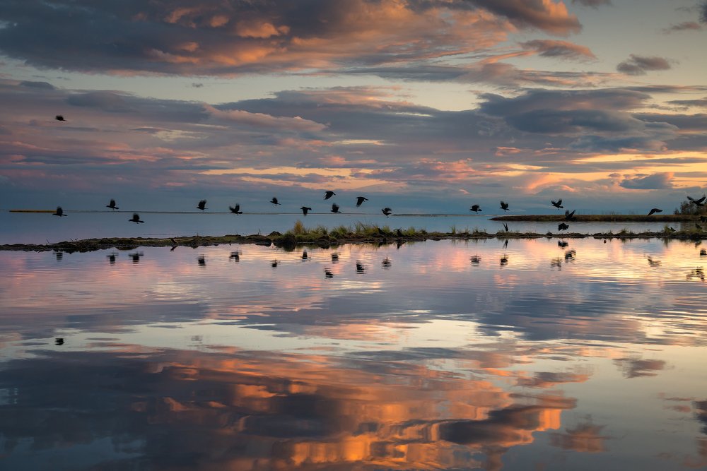 Осенняя гармония