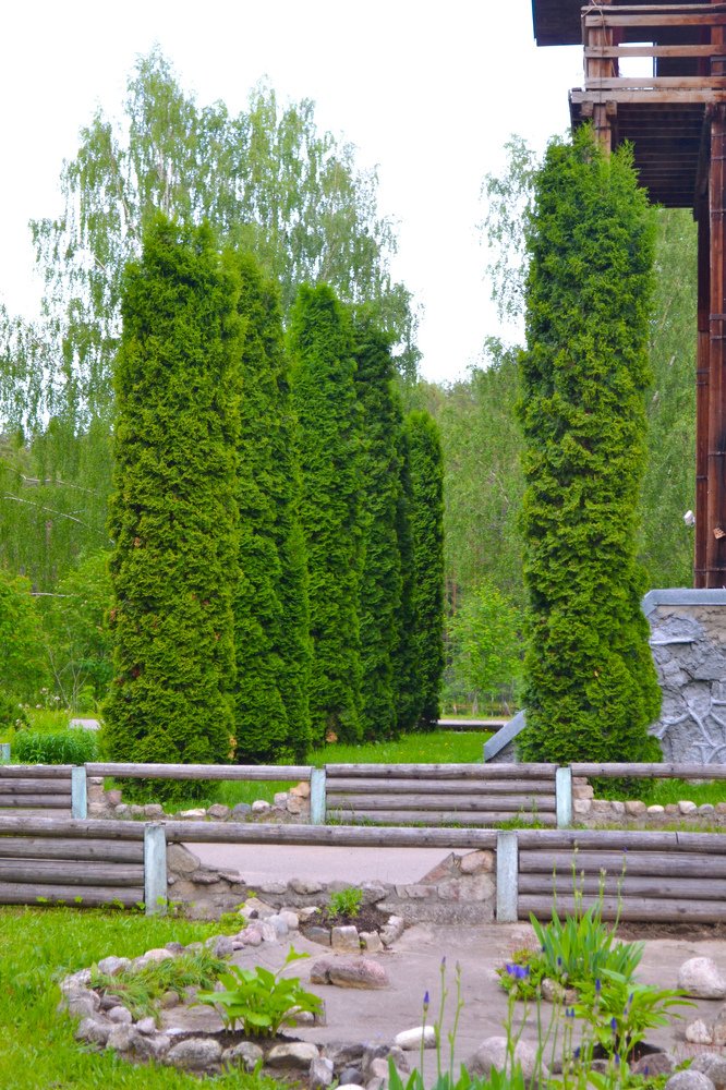 Photograph by Мария Лаврентьева