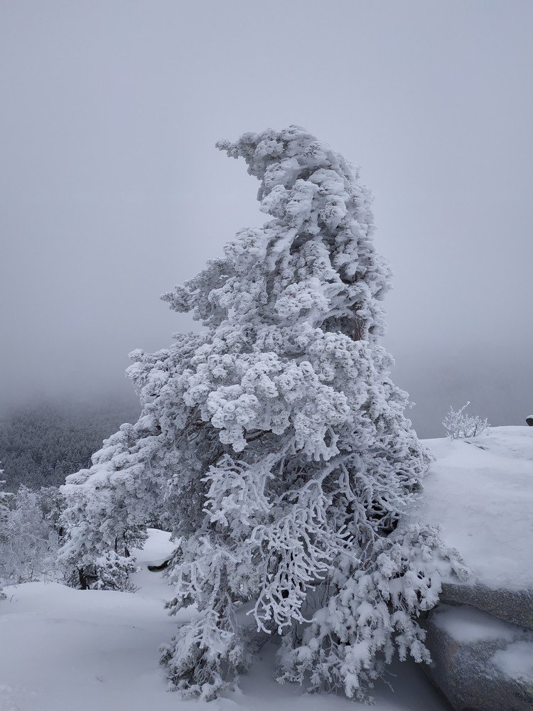 Photo #4338419