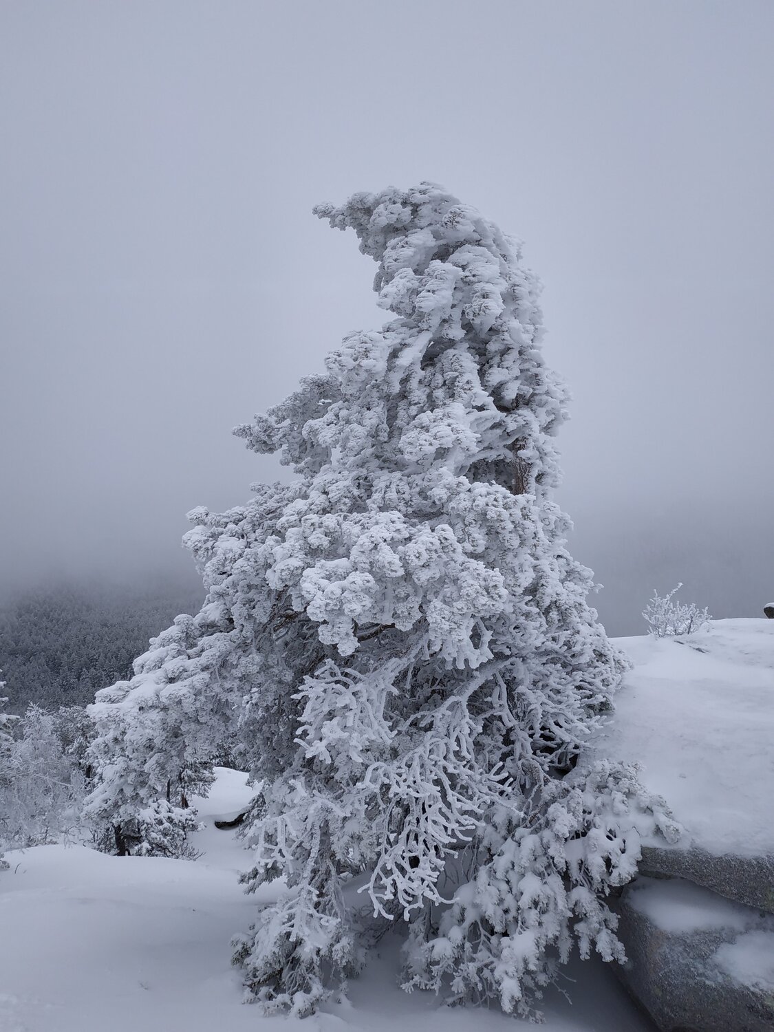 Photo #4338419