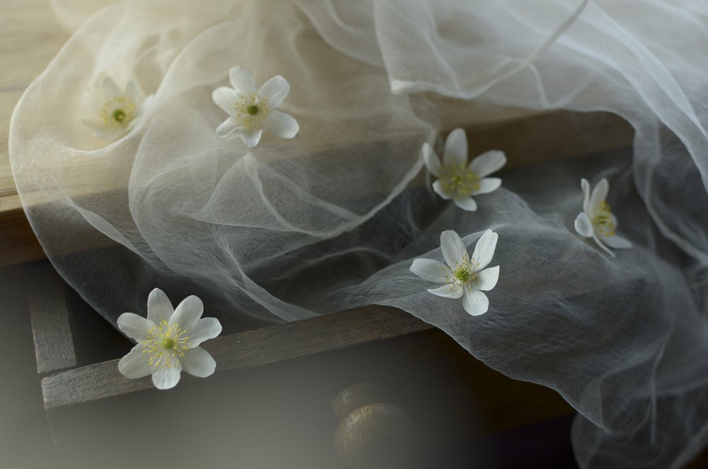 Photograph by Ирина Туяхова