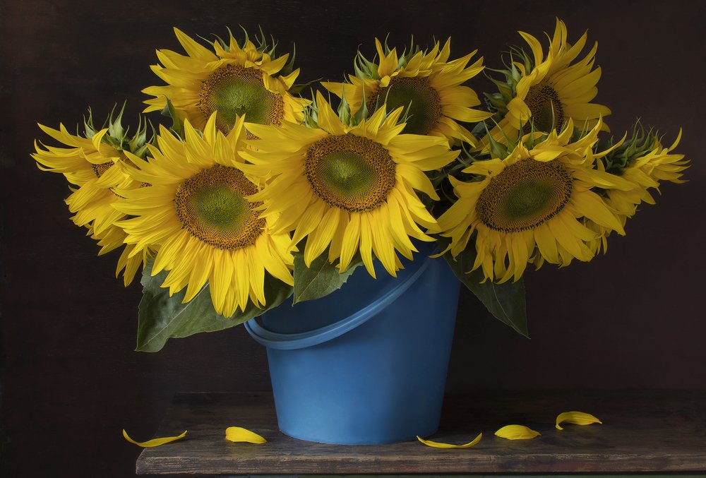 Photograph by Ирина Туяхова